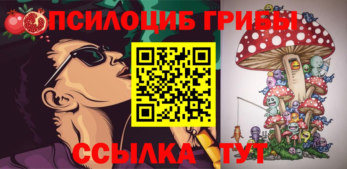 Галлюциногенные грибы Psilocybine cubensis Жигулёвск