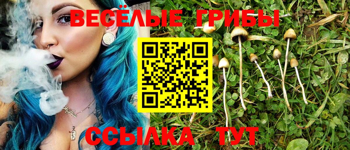 Жигулёвск  Галлюциногенные грибы GOLDEN TEACHER  Вход с VPN  Псилоцибиновые грибы Psilocybe 